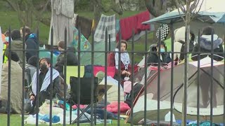 Northwestern reaches agreement with pro-Palestinian demonstrators to end tent encampment on campus by WGN News 99 views 4 hours ago 30 seconds