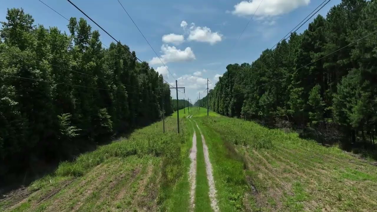 Crosby Land Company Presents: Old Chelsea South, Jasper County, SC