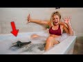 ALLIGATOR IN BATH PRANK ON MY GIRLFRIEND!