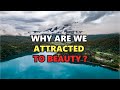 WHY ARE WE ATTRACTED TO BEAUTY