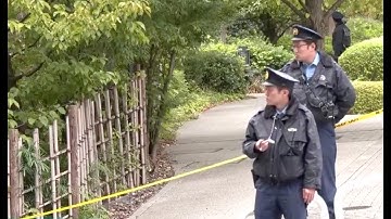 Japanese Police Arrest Knife-Wielding Man Near US Embassy Just Days Before Trump Visit