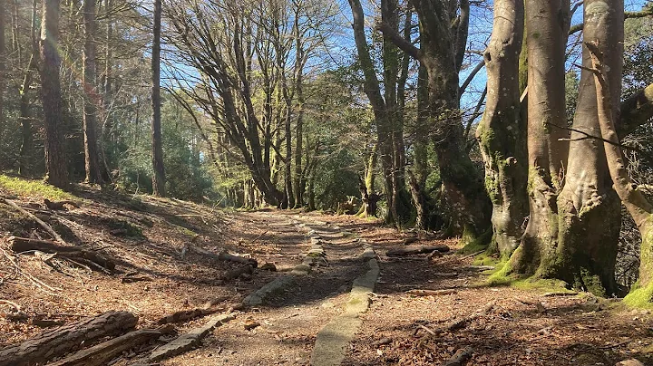 Haytor Tramway History