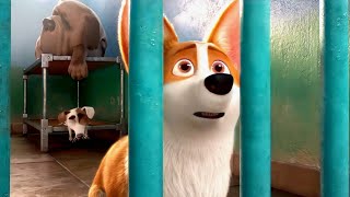 The Luxurious Life of A Queen's Dog Living in a Palace Ends Up in a Cage | Animated Movie explained