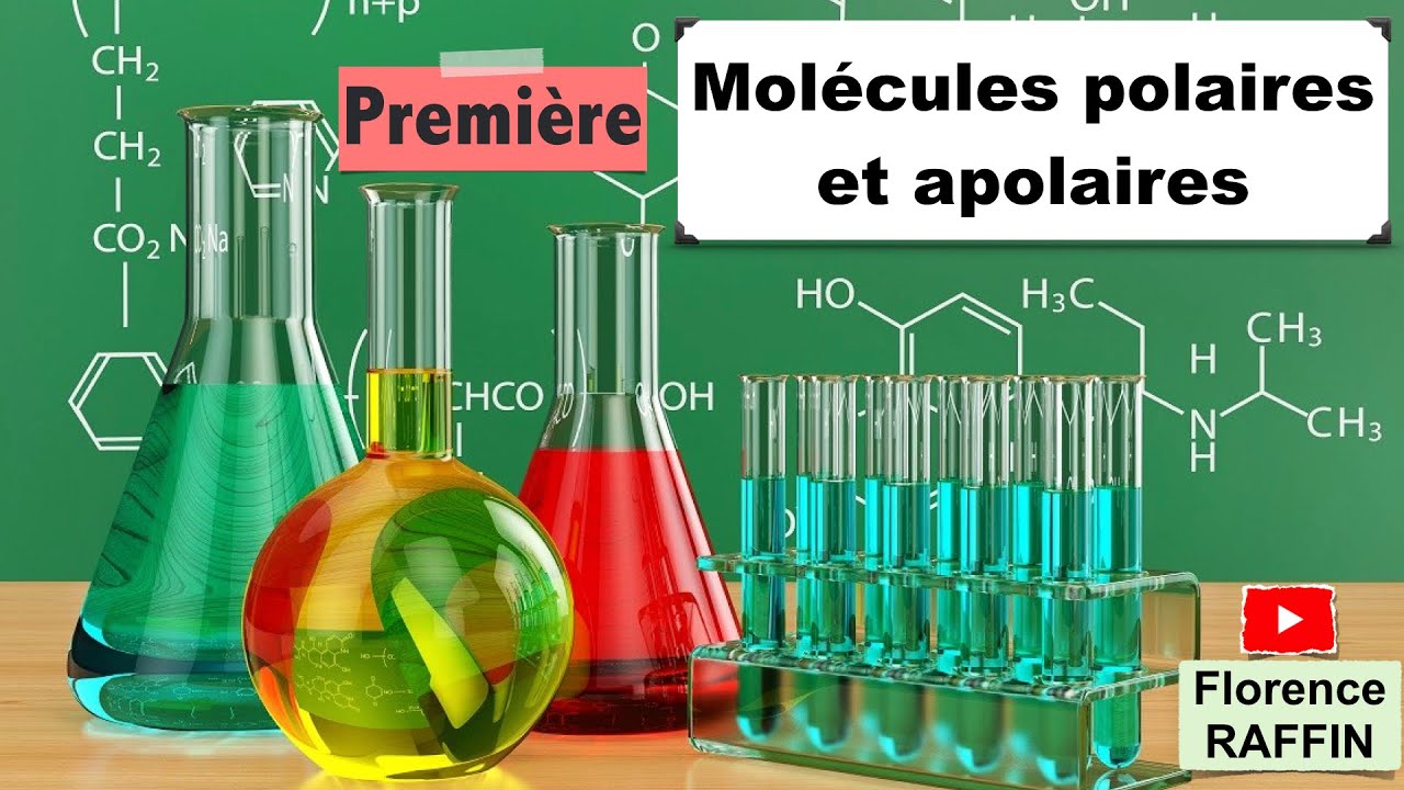 Molécule polaire et apolaire YouTube