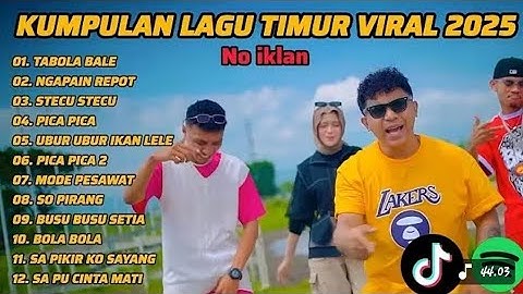 [TANPA IKLAN] LAGU TIMUR FULL ALBUM VIRAL TIKTOK 2025 TABOLA BALE - STECU STECU
