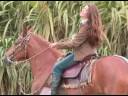 Dolly Príncipe - A Don Ata