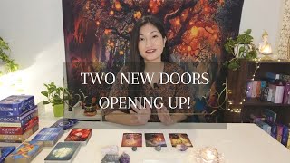 HINDI - ✨🚪Two new doors opening up for you currently!🚪✨🎐(Pick a card reading)