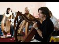 Capture de la vidéo Andrew Lawrence-King Introduces The Renaissance Irish Harp