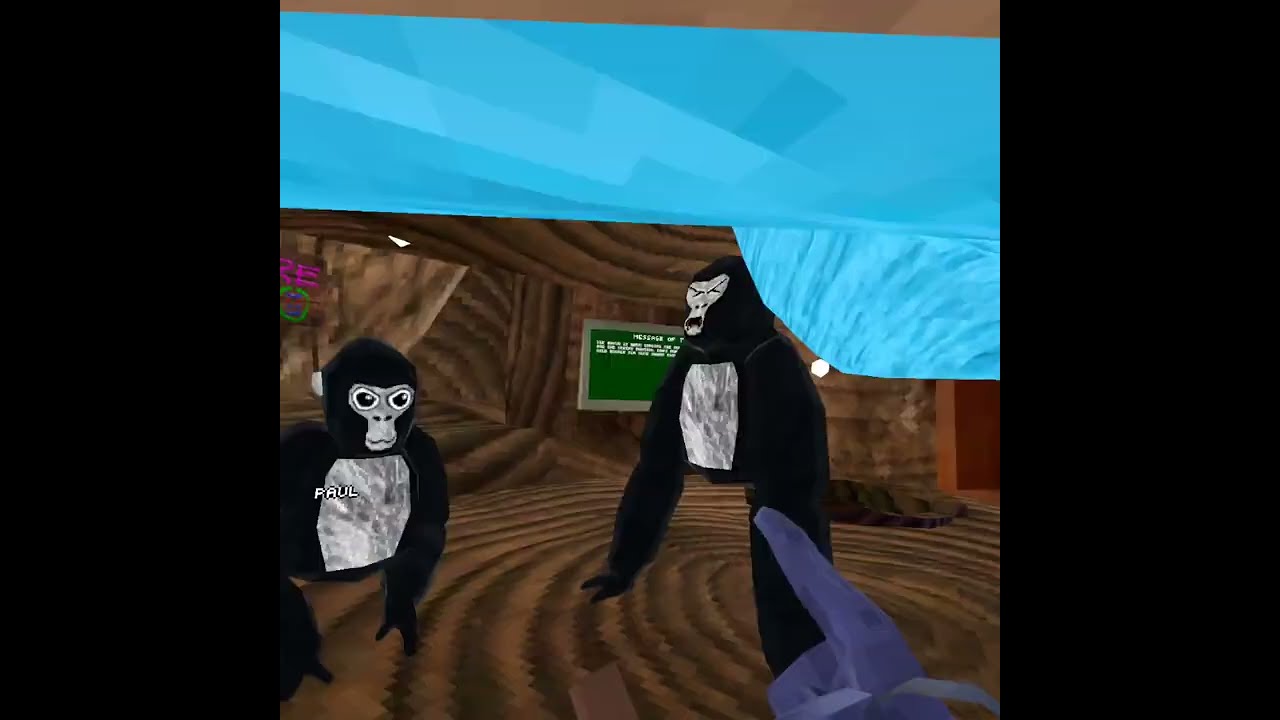 I Found A Warning Bot In Code TR33 Gorillatag Gtag