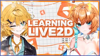 Dokibirdの配信のサムネイル画像