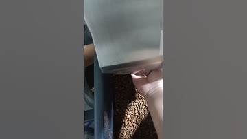 roasted coffee bean sorting machine
