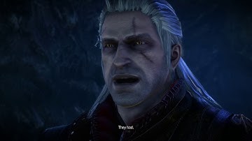 The Witcher 2: Assassins of Kings Enhanced Edition Where is triss merigold part 4 and royal blood