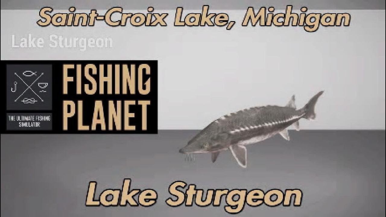 How to catch lake sturgeon through the ice – St. Croix 360