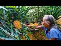 原生態菠蘿鴨做法，學會這幾步，酸甜開胃，比外面賣的還好吃｜Guangxi grandmother, making Chinese food with fruit pineapple｜广西美食 玉林阿婆