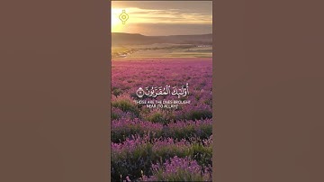 تلاوة من سورة الواقعة🍃┇للقارئ بلال دربالي  #اكسبلور #الواقعة