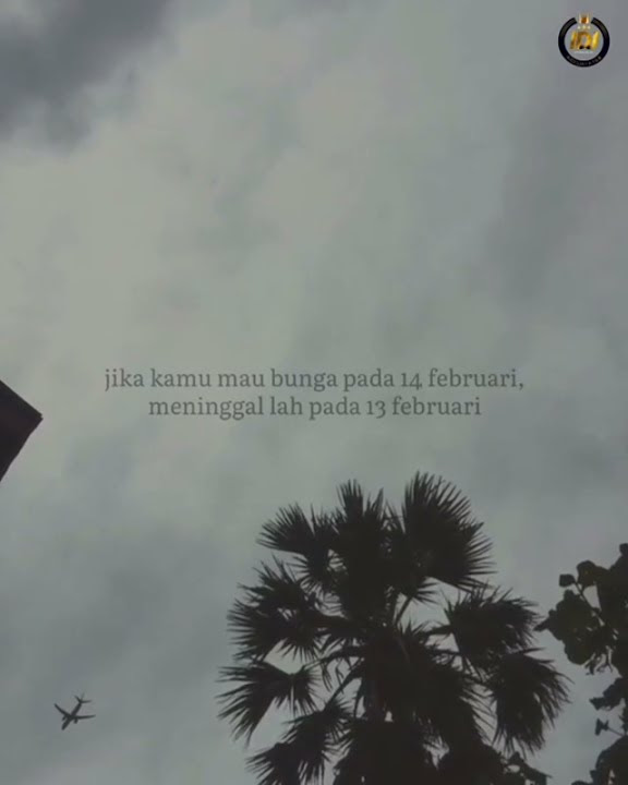 story wa buat yang jomblo mau ngerayain valentine  #Valentineday