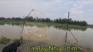 Download Lagu Anh Em Team Đoàn Dương Ra Suối Kéo Võ Sau Trận Mưa Vớt Được Mẻ Cá Bay Như Chim... MP3 Download Lagu Anh Em Team Đoàn Dương Ra Suối Kéo Võ Sau Trận Mưa Vớt Được Mẻ Cá Bay Như Chim... MP3