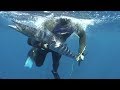 Bahamas wahoo and groupers on polespears- mini documentary