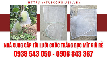 NHÀ CUNG CẤP TÚI LƯỚI CƯỚC TRẮNG BỌC MÍT GIÁ RẺ | Túi lưới trùm mít