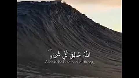 تلاوة خاشعة.. الله خالق كل شئ وهو على كل شئ وكيل