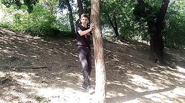 How to climb trees without branches