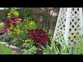 Garden S Glory TEN YEARS AGO And NOW Today A Before And After Video Garden S Glory TEN YEARS AGO And NOW Today A Before And After Video