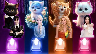 Cute Cats Songs Cat Games | Wednesday Bloody Mary | Elsa Enemy | Shakira Waka Waka | Jisoo Flower |