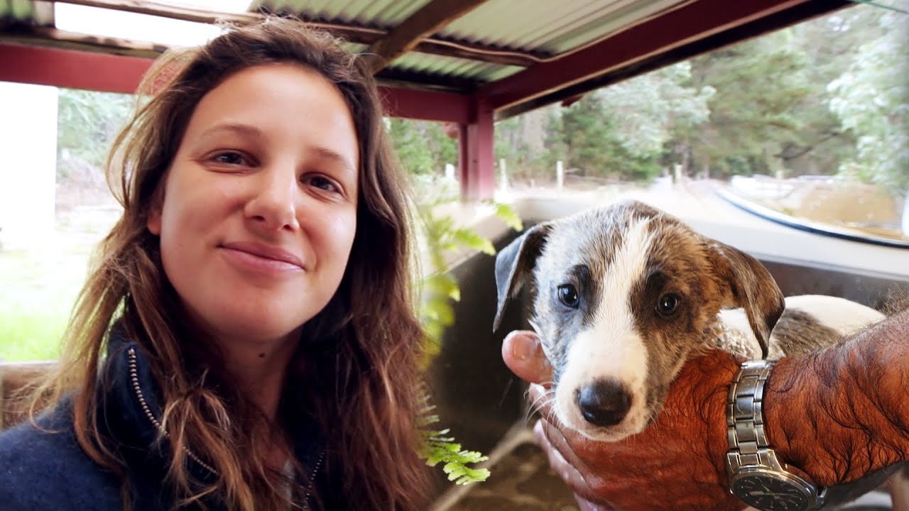 Moving on to 9 Acres & a Week of Firsts for our New Puppy – Free Range Homestead Ep 1