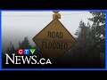 Evacuation orders in place as several B.C. communities flood