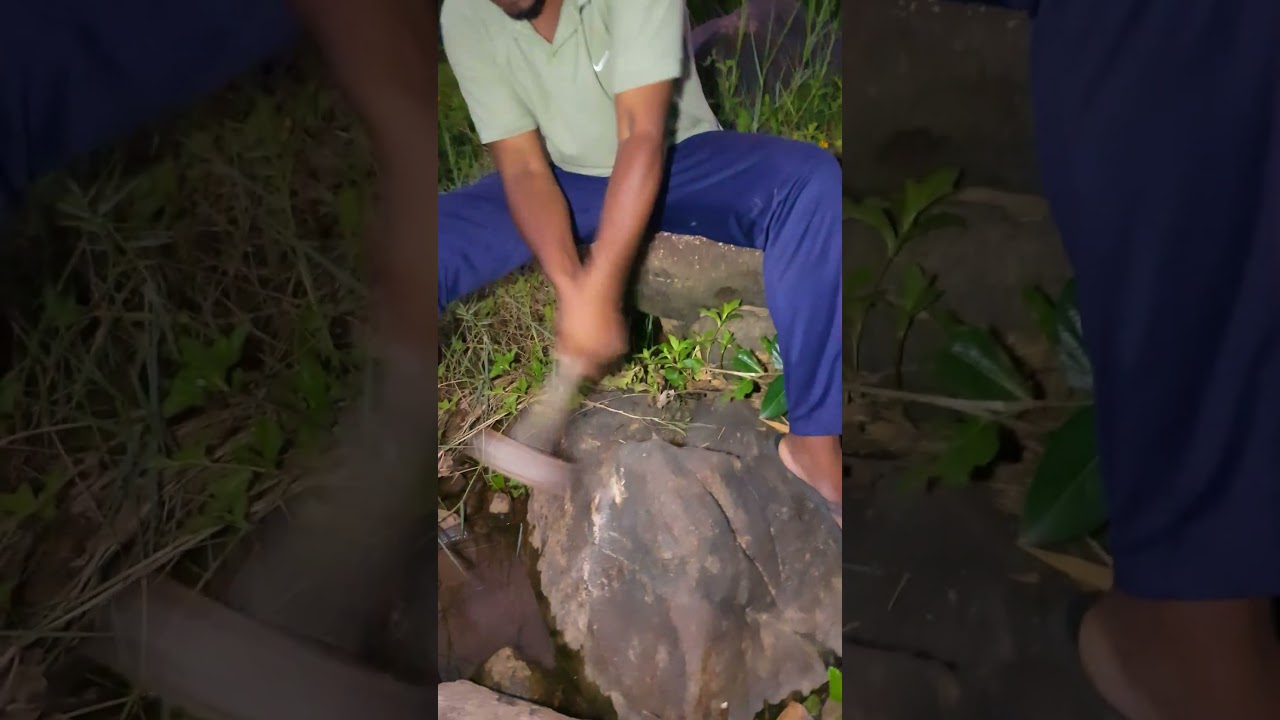 Crystals in the Moonlight?! Night Gem Hunt 🌌