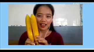 Saimit E-Learning Tutorial: This/These/That/Those (Grade 6)