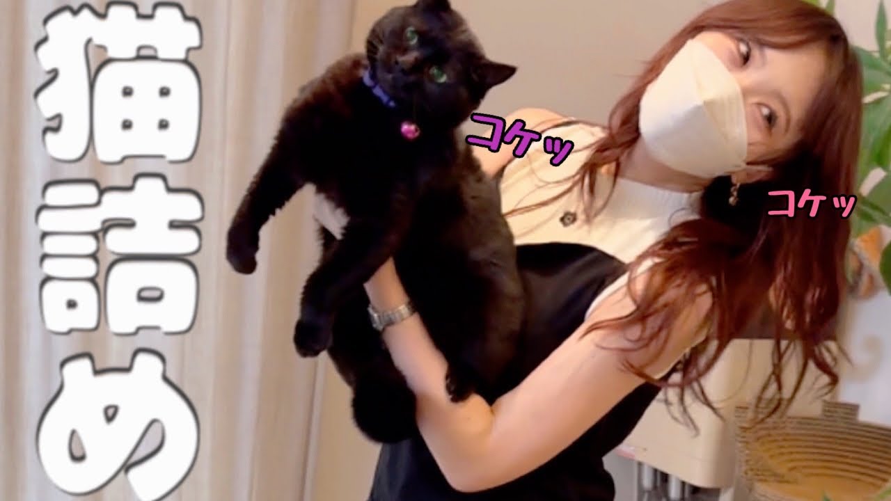 抱っこされたら『首コケッ』しちゃう猫さん車に詰めます