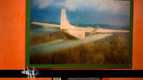 Chất độc màu da cam - tội ác chiến tranh