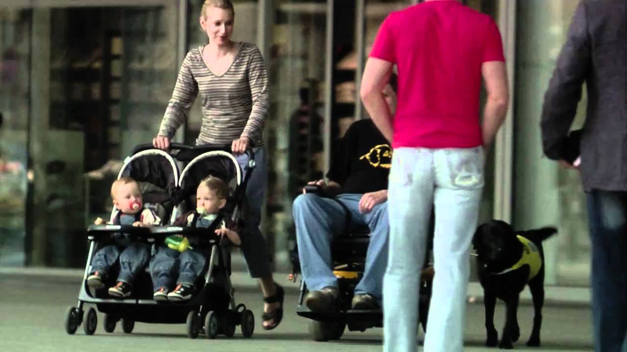 Pomocné Tlapky 2008