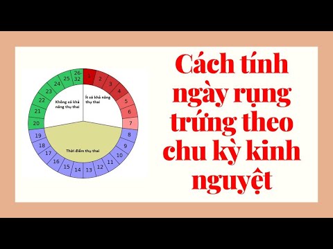 Video Cách tính ngày rụng trứng theo chu kỳ kinh nguyệt - youtube