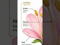 Parts of 🌺 #trending #cbse12thbiology #neetexam #neetaspirants#viral#exam #aesthetic#shorts#biology