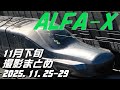ALFA-X(E956) 11月下旬撮影まとめ 2025.11.25-29