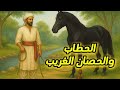 قصة الحطاب والحصان الغريب وادي السراب المعركة الأسطورية لإنقاذ المملكة من الساحر الجحيمي 