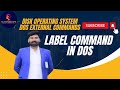 DOS Label Command Step-by-Step Tutorial Hindi/Urdu