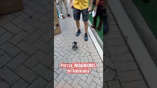 Hobby Dogging La Tendencia De Pasear Perros Imaginarios En Alemania
