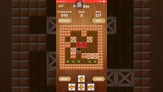 Push Box Professional Game10