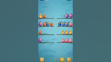 bird sort puzzle gameplay #shorts #shortfeed #catsong #birds