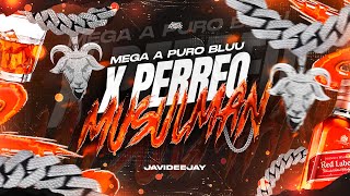 MEGA A PURO BLUU x PERREO MUSULMAN 🔥 - Javideejay ( Ft. @ElEcck ) #jujuyalritmo​ 🌵