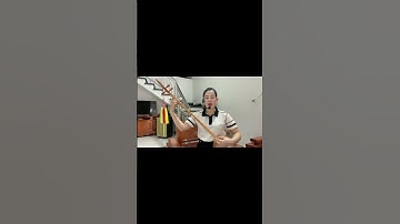 Hát then: Quê Em Đổi Mới - Thơ Hoàng Tích Chỉ /// Tb Dương Mến