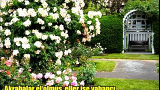 SİLAYI RAHİM M MEHMET AKAN
