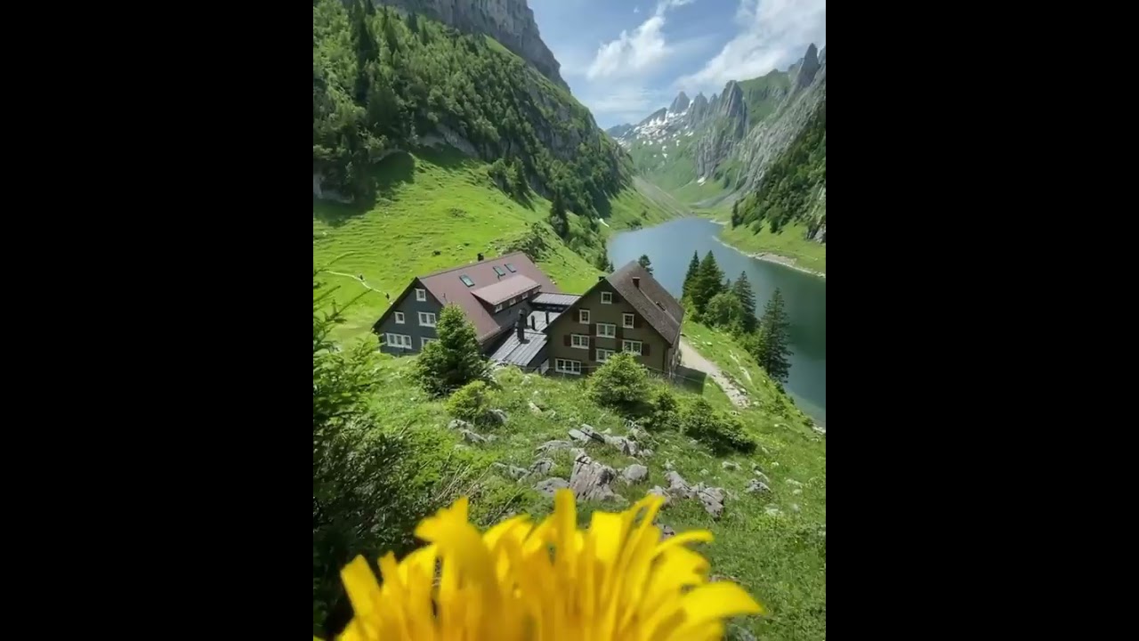 switzerland best green nature relaxing videoshorts 
