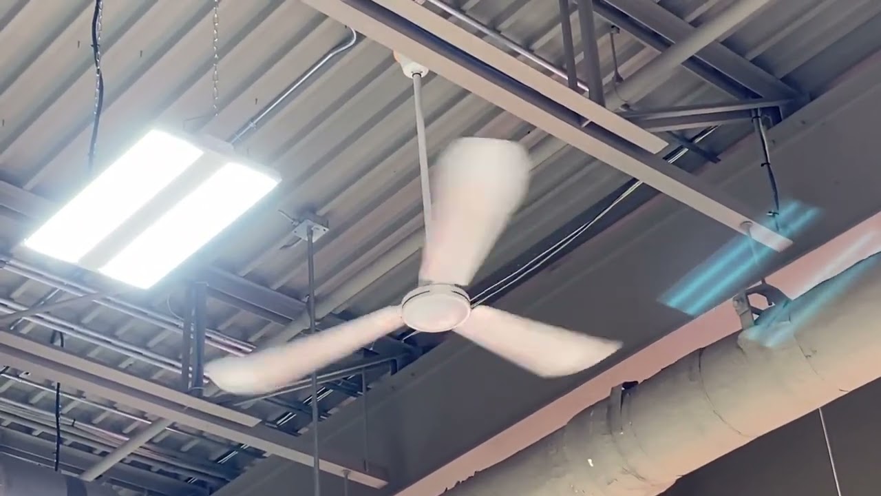 Wobbly Ceiling Fan 5 YouTube