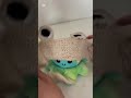 That One Time I Almost Died #crochet#lovemakingstuff#thebearstory