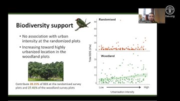 Species richness and ecosystem services of urban trees in a tropical mega-city