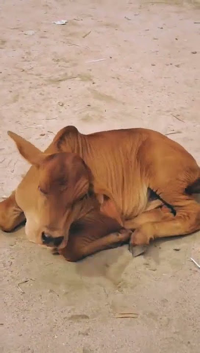 494824626 9536789669766328 1244112658214734718 n